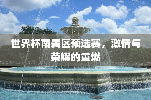 世界杯南美区预选赛，激情与荣耀的重燃眉山市正发家政服务有限公司