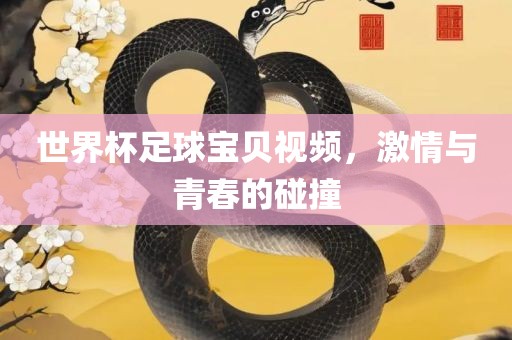 世界杯足球宝贝视频，激情与青春的碰撞