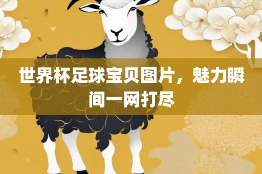 世界杯足球宝贝图片，魅力瞬间一网打尽