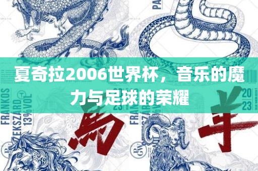 夏奇拉2006世界杯，音乐的魔力与足球的荣耀眉山市正发家政服务有限公司