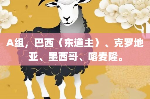 眉山市正发家政服务有限公司A组，巴西（东道主）、克罗地亚、墨西哥、喀麦隆。
