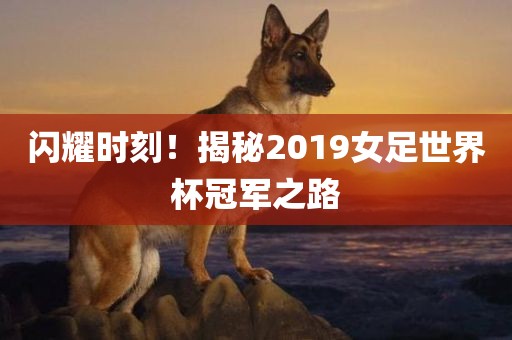 闪耀时刻！揭秘2019女足世界杯冠军之路