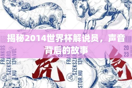 揭秘2014世界杯解说员，声音背后的故事