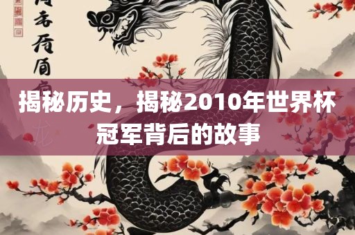揭秘历史，揭秘2010年世界杯冠军背后的故事