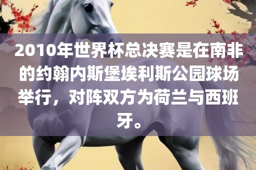 2010年世界杯总决赛是在南非的约翰内斯堡埃利斯公园球场举行，对阵双方为荷兰与西班牙。眉山市正发家政服务有限公司