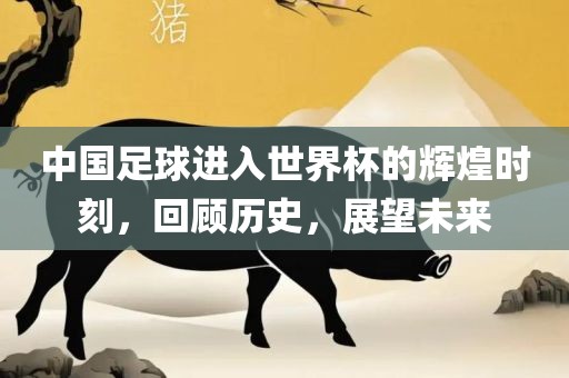 中国足球进入世界杯的辉煌时刻，回顾历史，展望未来眉山市正发家政服务有限公司