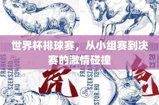 世界杯排球赛，从小组赛到决赛的激情碰撞