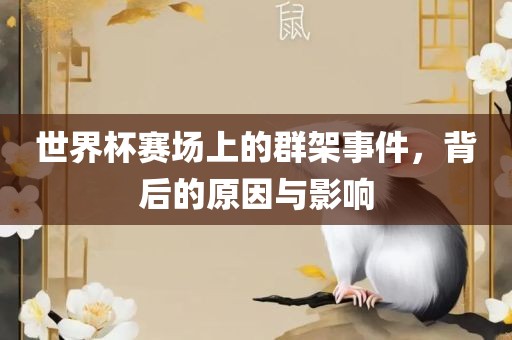 世界杯赛场上的群架事件，背后的原因与影响