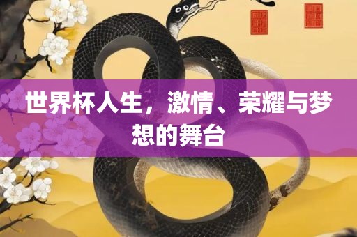 世界杯人生，激情、荣耀与梦想的舞台眉山市正发家政服务有限公司