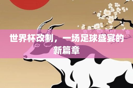世界杯改制，一场足球盛宴的新篇章眉山市正发家政服务有限公司