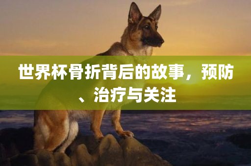 世界杯骨折背后的故事，预防、治疗与关注眉山市正发家政服务有限公司