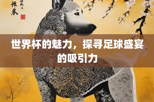 世界杯的魅力，探寻足球盛宴的吸引力