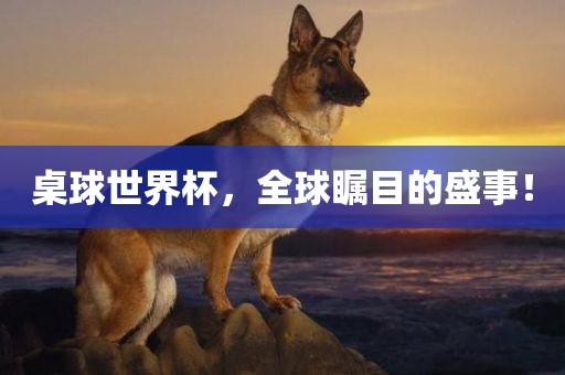 桌球世眉山市正发家政服务有限公司界杯，全球瞩目的盛事！
