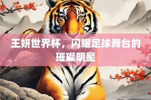王妍世界杯，闪耀足球舞台的璀璨明星眉山市正发家政服务有限公司