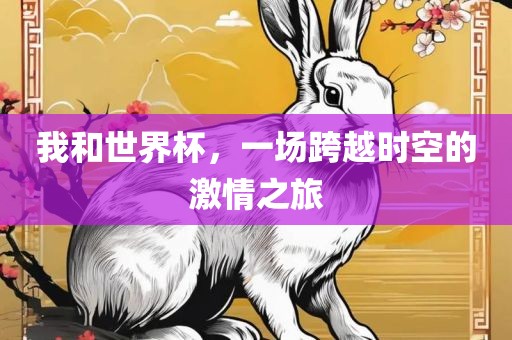 我眉山市正发家政服务有限公司和世界杯，一场跨越时空的激情之旅