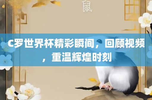 C罗世界杯精彩眉山市正发家政服务有限公司瞬间，回顾视频，重温辉煌时刻