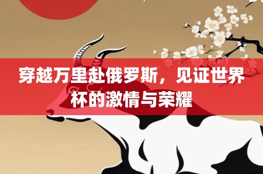穿越万里赴俄罗斯，见证世界杯的激情与荣耀眉山市正发家政服务有限公司