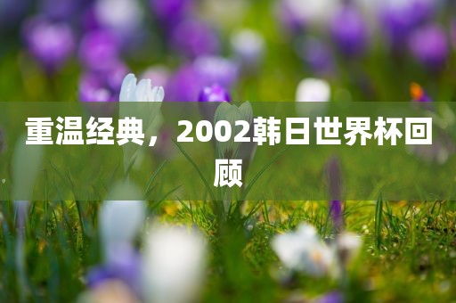 重温经典，2002韩日世界杯回顾