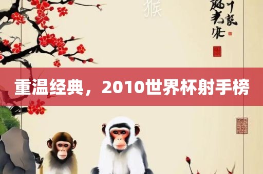 重温经典，2010世界杯射手榜
