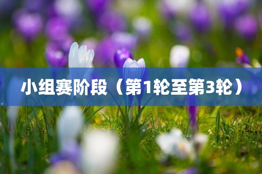 小组赛阶段（第1轮至第3轮）眉山市正发家政服务有限公司
