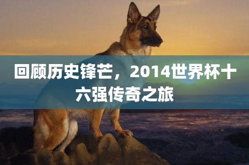 回顾历史锋芒，2014世界杯十六强传奇之旅