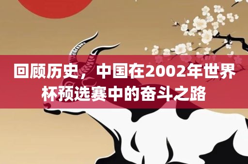 回顾历史，中国在2002年世界杯预眉山市正发家政服务有限公司选赛中的奋斗之路