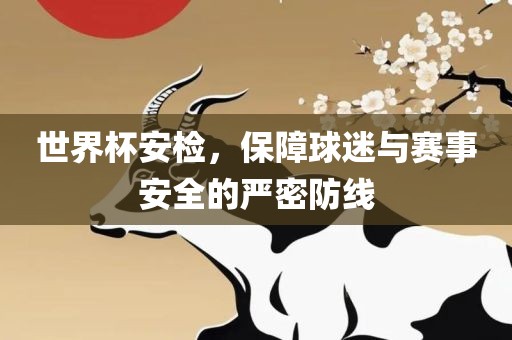 世界杯安检，保障球迷与赛事安全的严密防线眉山市正发家政服务有限公司