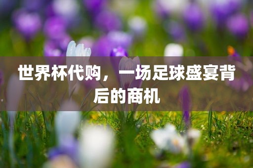 世界杯眉山市正发家政服务有限公司代购，一场足球盛宴背后的商机