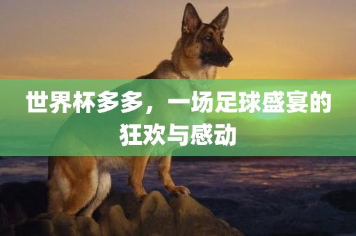 世界杯多多，一场眉山市正发家政服务有限公司足球盛宴的狂欢与感动
