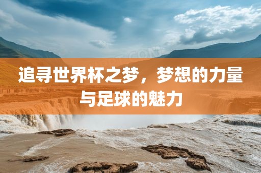 追寻世界杯之梦，梦想的力量与足球的魅力眉山市正发家政服务有限公司