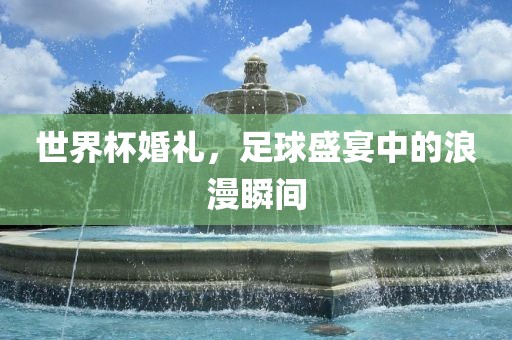 世界杯婚礼，足球盛宴中的浪漫瞬间眉山市正发家政服务有限公司