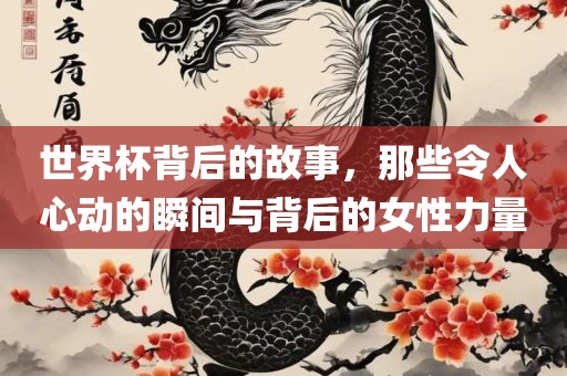 世界杯背后的故事，那些令人心动的瞬间与背后的女性力量眉山市正发家政服务有限公司