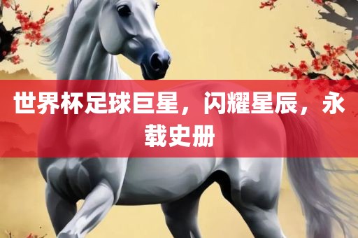 世界杯足球巨星，闪耀星辰，永载史册眉山市正发家政服务有限公司