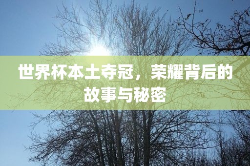 世界杯本土夺冠，荣耀背后的故事与秘密眉山市正发家政服务有限公司