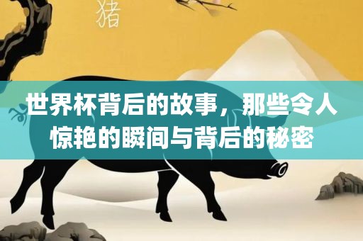 世界杯背后的故事，那些令人惊艳的瞬间与背后的秘密眉山市正发家政服务有限公司