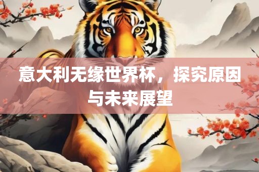 意大利无缘世界杯，探究原因与未来展望眉山市正发家政服务有限公司
