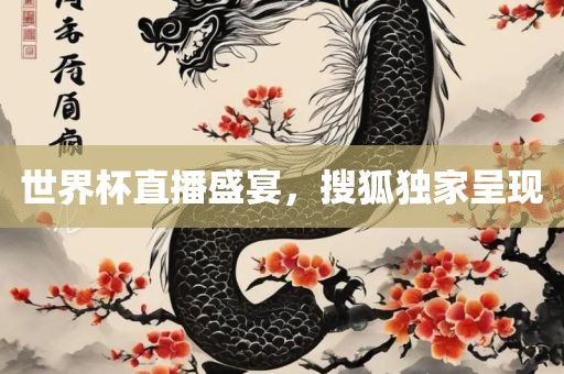 世界杯直播盛宴，搜狐独家呈现眉山市正发家政服务有限公司