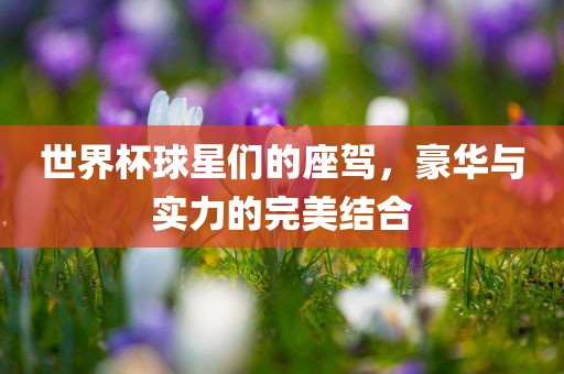 世界杯球星们的座驾，豪华与实力的完美结合