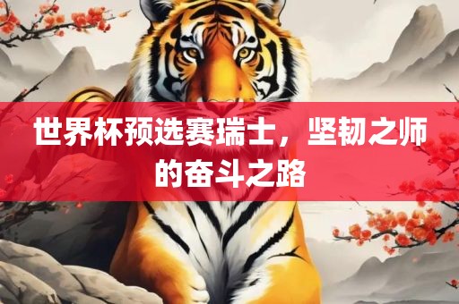 世界杯预选赛瑞士，坚韧之师的奋斗之路