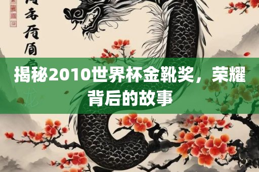 揭秘2010世界杯金靴奖，荣耀背后的故事
