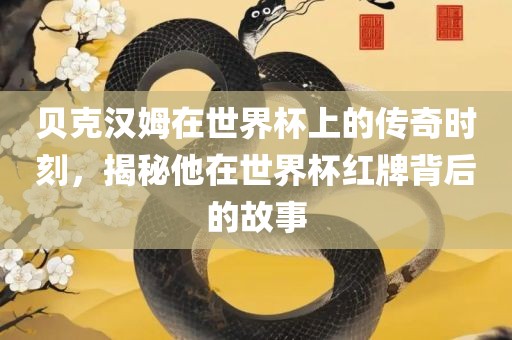 贝克汉姆在世界杯上的传奇时刻，揭秘他在世界杯红牌背后的故事眉山市正发家政服务有限公司