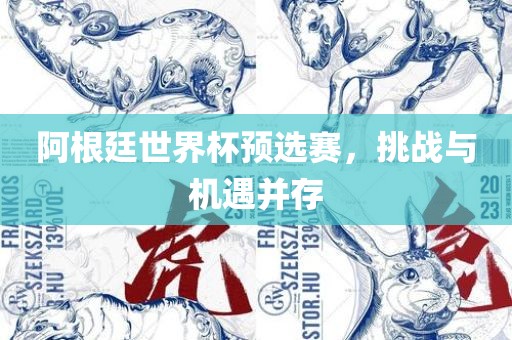 阿根廷世界杯预选赛，挑战与机遇并存