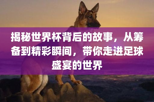 揭秘世界杯背后的故事，从筹备到精彩瞬间，带你走进足球盛宴的世界眉山市正发家政服务有限公司