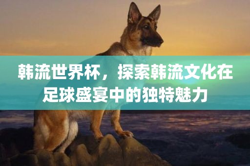 韩流世界杯，探索韩流文化在足球盛宴中的独特魅力眉山市正发家政服务有限公司