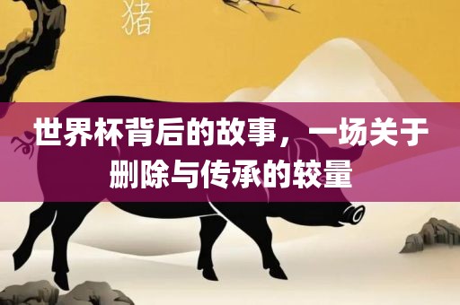 世界杯背后的故事，一场关于删除与传承的较量眉山市正发家政服务有限公司