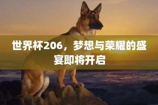 世界杯206，梦想与荣耀的盛宴即将开启