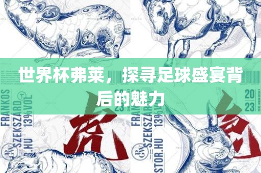 世界杯弗莱，探寻足球盛宴背后的魅力