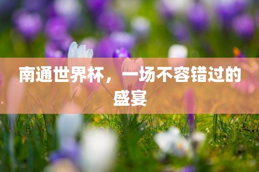 南通世界杯，眉山市正发家政服务有限公司一场不容错过的盛宴