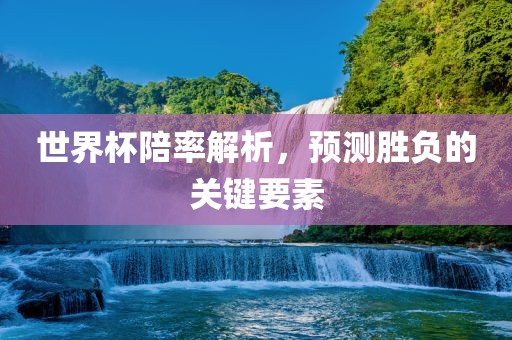 世界杯陪率解析，预测胜负的关键要素眉山市正发家政服务有限公司