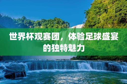 世界杯观赛团，体验足球盛宴的独特魅力